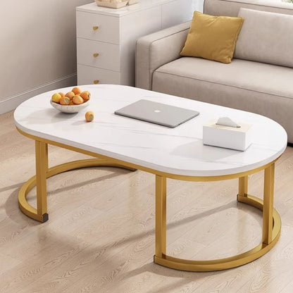 Aesthetic Coffee Table Oval Modern  Mesa Centro