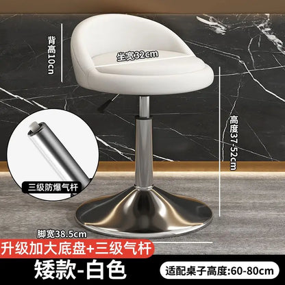 Contemporary Counter Bar Stool